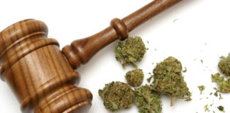 Marijuana Updates: Mass. Lawmakers Approve Recreational Bill, Mexico Legalizes… shutterstock 121570756