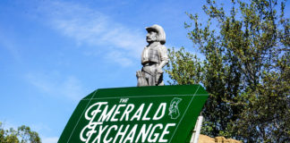 The Evolution of Wellness-Driven Cannabis Culture at Emerald Exchange