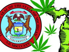 Michigan Cannabis Advocates Gather 100,000 Petition Signatures Michigan image