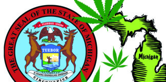 Michigan Cannabis Advocates Gather 100,000 Petition Signatures Michigan image
