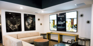 Reno’s Gemstone Reno Blum anniex blum 024 cc web