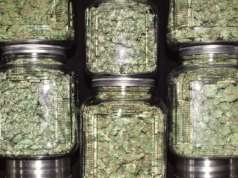 Budtender Thoughts Screen Shot 2017 07 11 at 9.34.28 AM