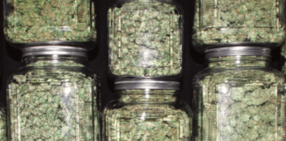 Budtender Thoughts Screen Shot 2017 07 11 at 9.34.28 AM