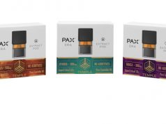 More Than a Pretty Package Temple packaging display 2 clip web