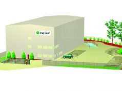 True Leaf Reaches Final Stage to Acquire License to Produce Marijuana in Canada