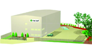 True Leaf Reaches Final Stage to Acquire License to Produce Marijuana in Canada