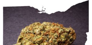 Former NFL Players Want to Open Medical Marijuana Dispensary in Ohio ohio marijuana e1499892379347