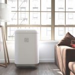 Great Horticulture Products for July seedo 1