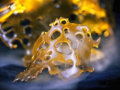 Extraction Essentials shatter pic