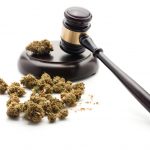New Hampshire Becomes The Latest State to Decriminalize Marijuana shutterstock 294719558