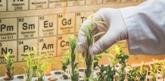 Americans For Safe Access Fights the Good, Long Fight Americans for Safe Access