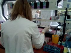 Studies show CBD Could Help to Treat Schizophrenia, Tourette’s