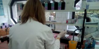 Studies show CBD Could Help to Treat Schizophrenia, Tourette’s