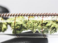 It is Time to Get The Whole Thing Right on Cannabis CANNABIS MANUFACTURERS