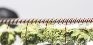 It is Time to Get The Whole Thing Right on Cannabis CANNABIS MANUFACTURERS