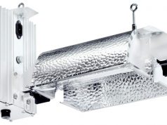 6 Marijuana Horticulture Products for August Gavita Pro 1000 1 clip web