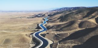 L.A.’s Indoor Cannabis Growers Have a Secret Advantage LA Cannabis Cultivators