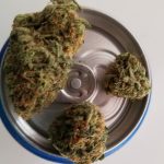 Lagunitas to Brew IPA Cannabis Beer Lagunitas Supercritical Beer e1503437843607