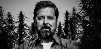 Mr. Hemp and the Amazing Dream Crop Screen Shot 2017 08 17 at 2.41.50 PM