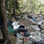 Pesticides a Pest for Feds, States, and Marijuana Growers Waste site USDAgov mgretailer rs