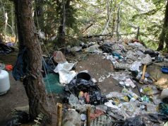 Pesticides a Pest for Feds, States, and Marijuana Growers Waste site USDAgov mgretailer rs