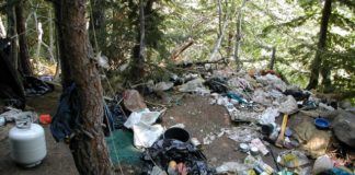 Pesticides a Pest for Feds, States, and Marijuana Growers Waste site USDAgov mgretailer rs