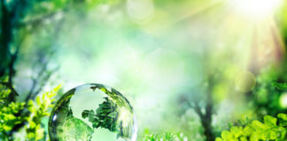 The Cannabis Movement Enters a Brave Green World globe crystal 274566236 web