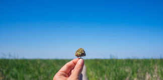 The “Big Fix” For Los Angeles Cannabis Laws legal 1