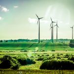 Oregon Indoor Grower Eco Firma Farms is Already Carbon-Neutral not easy being green