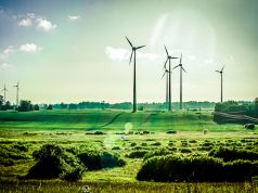 Oregon Indoor Grower Eco Firma Farms is Already Carbon-Neutral not easy being green