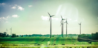 Oregon Indoor Grower Eco Firma Farms is Already Carbon-Neutral not easy being green