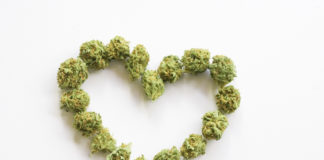 High There! Welcomes GRINDR Veteran As Chief Revenue Officer shutterstock 298206143