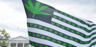 Charges Dropped Against D.C. Activist Handing Out Joints shutterstock 400314235