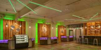 Michael Holly of The Evergreen Market Cannabis Dispensary store