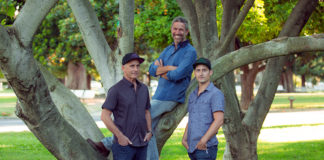 Temple Extracts Has Deep Roots In Cannabis