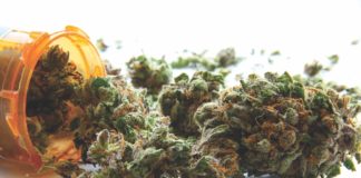 Michigan Marijuana Dispensaries Can Stay Open, For Now Michigan dispensaries