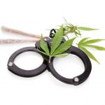 Routine Mendocino County Cannabis Bust Garners National Coverage shutterstock 683099962