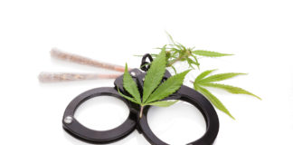 Routine Mendocino County Cannabis Bust Garners National Coverage shutterstock 683099962