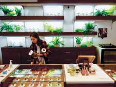 Are You Ready to Rock Recreational Marijuana? Clone Wall credit Farma FarmaPDXformgRetailer cc web