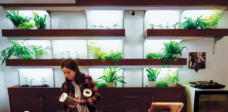 Are You Ready to Rock Recreational Marijuana? Clone Wall credit Farma FarmaPDXformgRetailer cc web