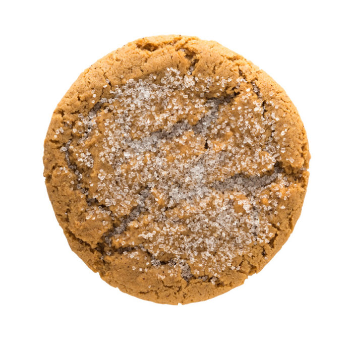 Ginger Molassas Cookie 1 clip web