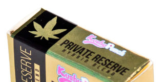 Kushy Punch Private Reserve Strawberry Lemonade Gummy KushyPunch Private Reserve MG 9186 clip web