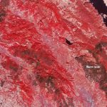 How You Can Help NorCal Fire Victims, Industry Members