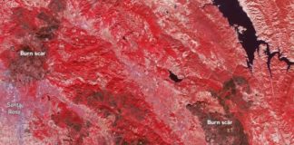 How You Can Help NorCal Fire Victims, Industry Members