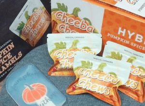 Cheeba Chews Pumpkin Spice
