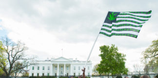 Government Employees in Washington D.C. may be Buying Legal Marijuana More Than you Think shutterstock 400336309