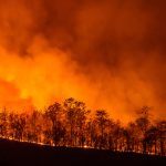 California Wildfires Burning Marijuana Farms shutterstock 420040681