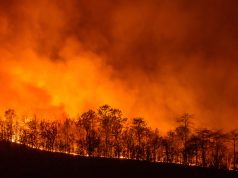 California Wildfires Burning Marijuana Farms shutterstock 420040681