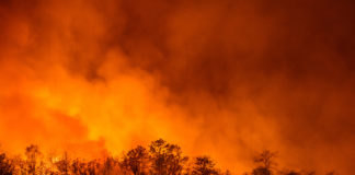 California Wildfires Burning Marijuana Farms shutterstock 420040681