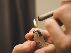 Support for Marijuana Legalization Hits All-Time High shutterstock 531543478